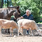 Lejlighed Au Coeur D'un Vignoble - Domaine De Selhac