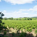 Au Coeur D'un Vignoble - Domaine De Selhac * Frontignan