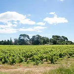 Au Coeur D'un Vignoble - Domaine De Selhac Lejlighed *