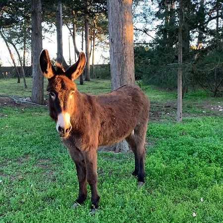 Au Coeur D'un Vignoble - Domaine De Selhac Apartamento Frontignan