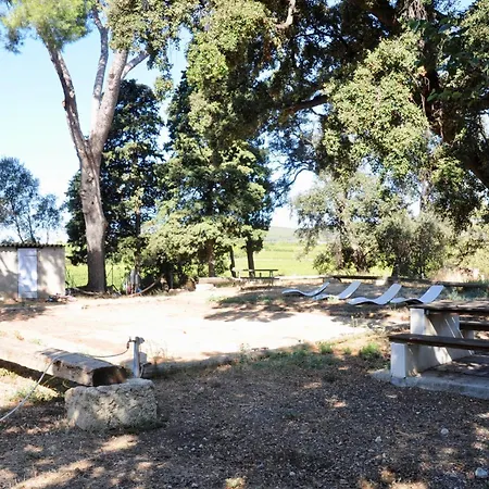 Au Coeur D'un Vignoble - Domaine De Selhac *