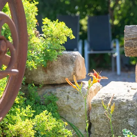 Au Coeur D'un Vignoble - Domaine De Selhac