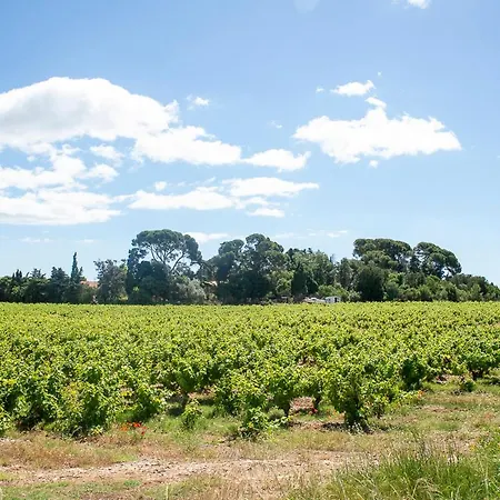 Au Coeur D'un Vignoble - Domaine De Selhac Appartamento *