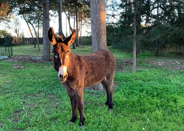 Au Coeur D'un Vignoble - Domaine De Selhac Apartamento Frontignan