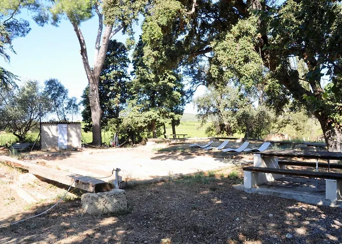 Au Coeur D'un Vignoble - Domaine De Selhac *