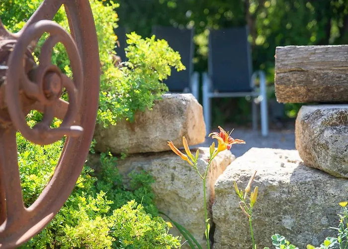 Au Coeur D'un Vignoble - Domaine De Selhac