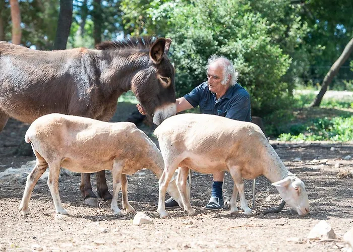 Apartamento Au Coeur D'un Vignoble - Domaine De Selhac