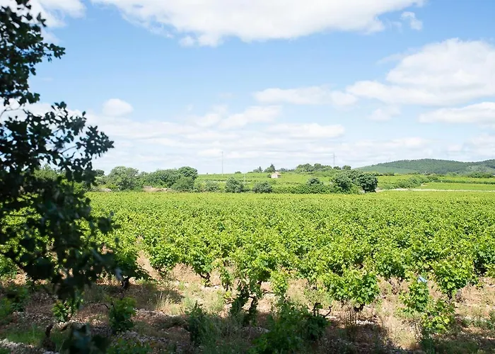 Au Coeur D'un Vignoble - Domaine De Selhac * Frontignan
