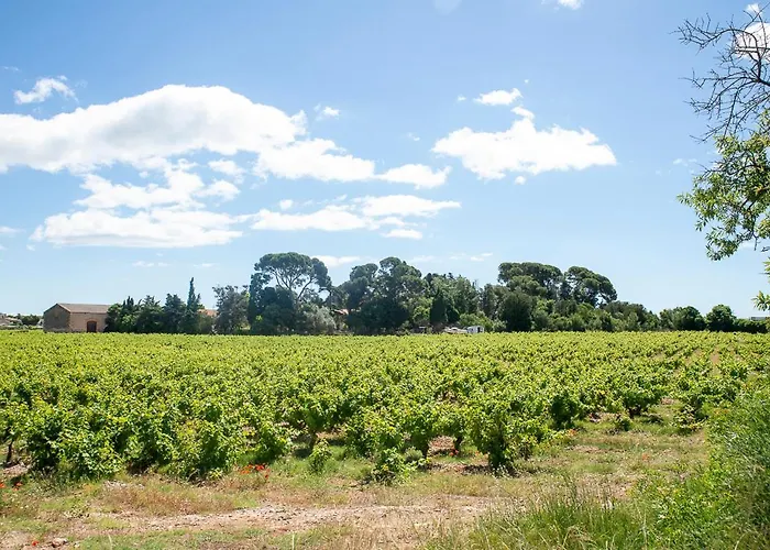 Au Coeur D'un Vignoble - Domaine De Selhac Apartamento *